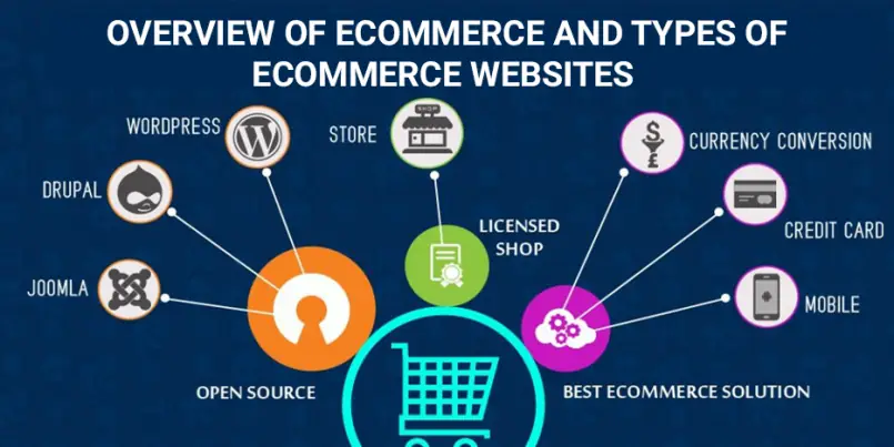 Supporting image for Product Collections vs Categories: When to Use Each